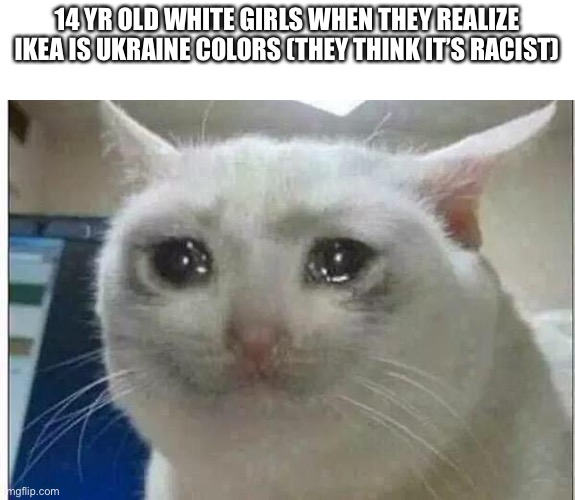 crying cat | 14 YR OLD WHITE GIRLS WHEN THEY REALIZE IKEA IS UKRAINE COLORS (THEY THINK IT’S RACIST) | image tagged in crying cat | made w/ Imgflip meme maker