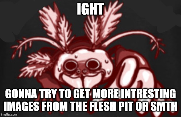 ill prob just go on a casual tour | IGHT; GONNA TRY TO GET MORE INTRESTING IMAGES FROM THE FLESH PIT OR SMTH | image tagged in shitpost status | made w/ Imgflip meme maker