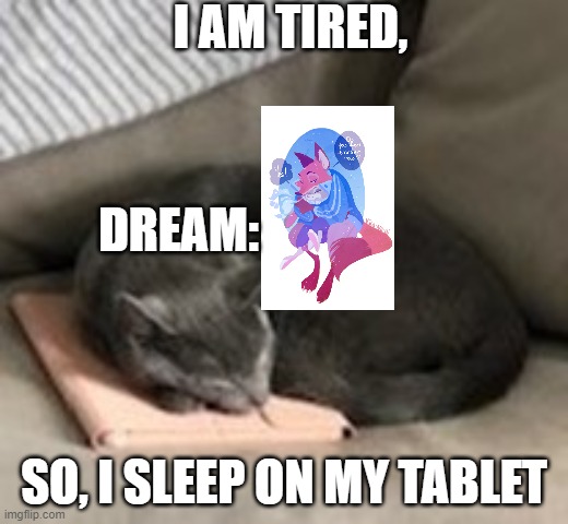 Sleeping Kitty on Tablet | I AM TIRED, DREAM:; SO, I SLEEP ON MY TABLET | image tagged in sleeping kitty on tablet | made w/ Imgflip meme maker