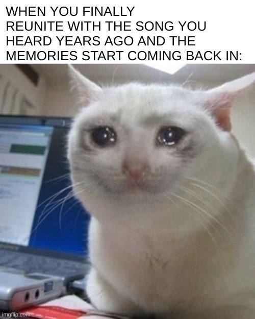 the feels, man |  WHEN YOU FINALLY REUNITE WITH THE SONG YOU HEARD YEARS AGO AND THE MEMORIES START COMING BACK IN: | image tagged in crying cat,songs,relatable | made w/ Imgflip meme maker