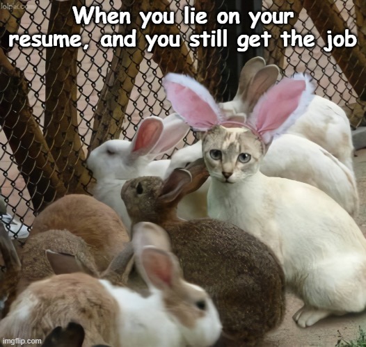 Easter Cat |  When you lie on your resume, and you still get the job | image tagged in easter,cat,cats,happy easter | made w/ Imgflip meme maker