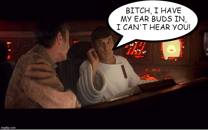 Spock is Monitoring | BITCH, I HAVE MY EAR BUDS IN, I CAN'T HEAR YOU! | image tagged in star trek spock mccoy | made w/ Imgflip meme maker