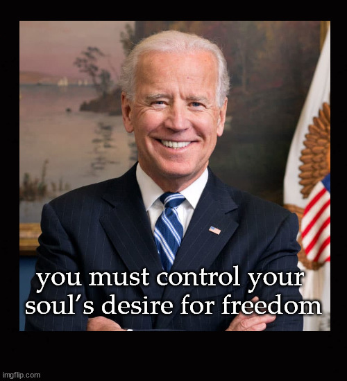 "control the soul's desire for freedom” | you must control your 
soul’s desire for freedom | image tagged in xi,biden,freedom | made w/ Imgflip meme maker