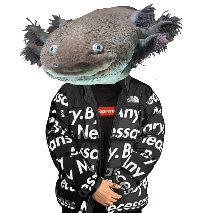 High Quality Drip axolotl Blank Meme Template