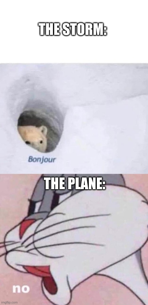 THE STORM: THE PLANE: | image tagged in bonjour,no bugs bunny | made w/ Imgflip meme maker