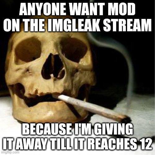 Drug addicted skull | ANYONE WANT MOD ON THE IMGLEAK STREAM; BECAUSE I'M GIVING IT AWAY TILL IT REACHES 12 | image tagged in drug addicted skull | made w/ Imgflip meme maker