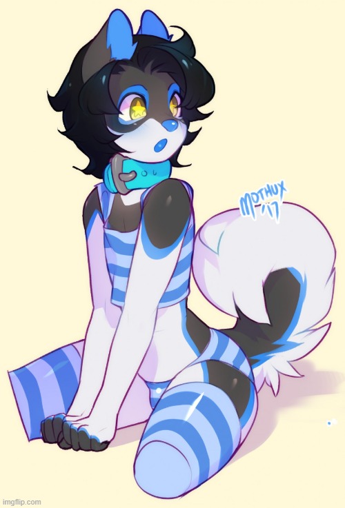 Blu dawg (By mothux) | image tagged in furry,femboy,cute,socks,adorable | made w/ Imgflip meme maker