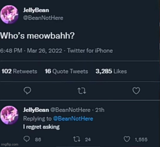 made w/ Imgflip meme maker