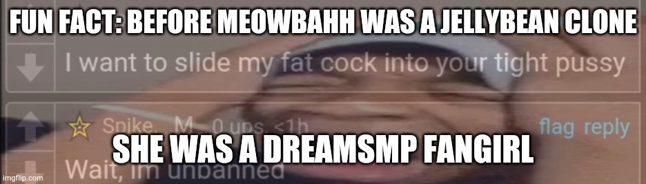 Spike in 4K | FUN FACT: BEFORE MEOWBAHH WAS A JELLYBEAN CLONE; SHE WAS A DREAMSMP FANGIRL | image tagged in spike in 4k | made w/ Imgflip meme maker
