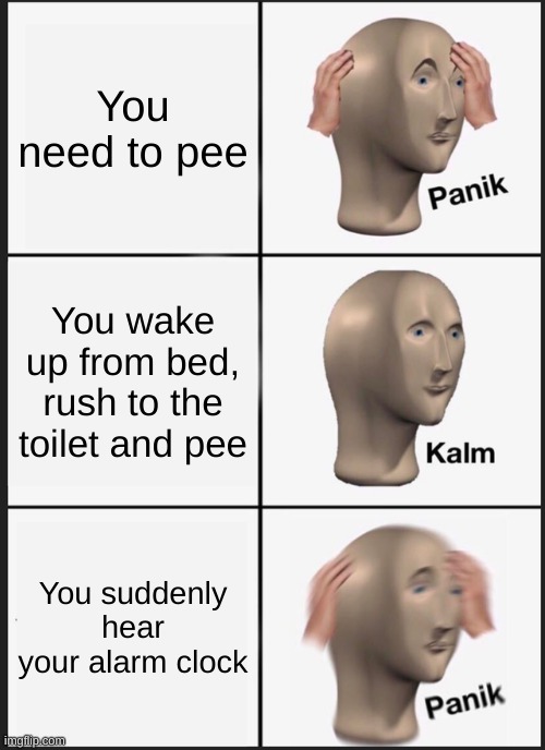 reep | You need to pee; You wake up from bed, rush to the toilet and pee; You suddenly hear your alarm clock | image tagged in memes,panik kalm panik | made w/ Imgflip meme maker