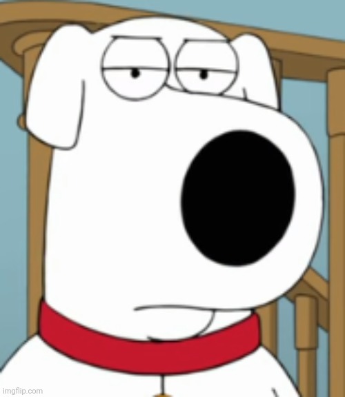 Dissatisfied Brian | image tagged in dissatisfied brian | made w/ Imgflip meme maker