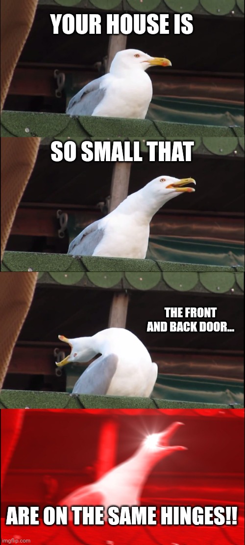 So small | YOUR HOUSE IS; SO SMALL THAT; THE FRONT AND BACK DOOR... ARE ON THE SAME HINGES!! | image tagged in memes,inhaling seagull | made w/ Imgflip meme maker