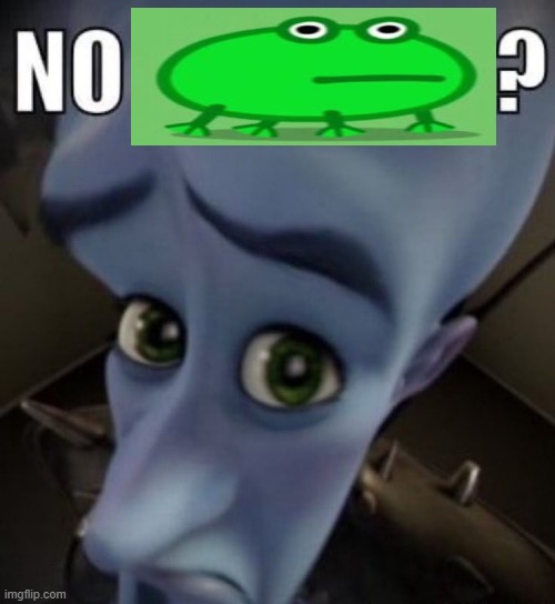 :( | image tagged in no bitches megamind,frog,memes,funny,oh wow are you actually reading these tags | made w/ Imgflip meme maker