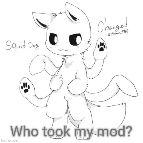 Squid dog | Who took my mod? | image tagged in squid dog | made w/ Imgflip meme maker