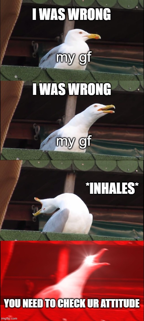 Why is this true | I WAS WRONG; my gf; I WAS WRONG; my gf; *INHALES*; YOU NEED TO CHECK UR ATTITUDE | image tagged in memes,inhaling seagull | made w/ Imgflip meme maker