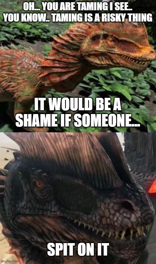 ark dilo | OH... YOU ARE TAMING I SEE.. YOU KNOW.. TAMING IS A RISKY THING; IT WOULD BE A SHAME IF SOMEONE... SPIT ON IT | image tagged in dilo,ark survival evolved,ark dilo | made w/ Imgflip meme maker