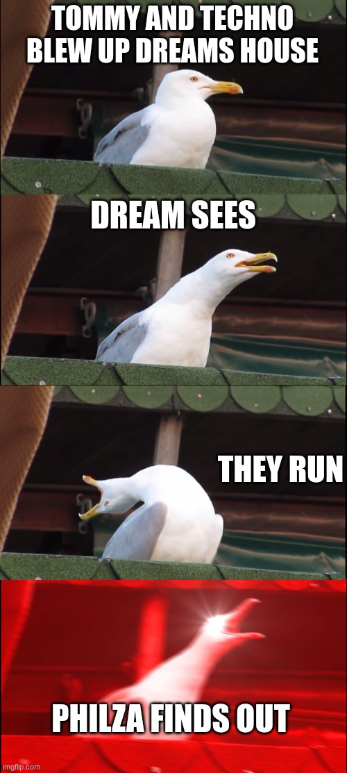 dream smp | TOMMY AND TECHNO BLEW UP DREAMS HOUSE; DREAM SEES; THEY RUN; PHILZA FINDS OUT | image tagged in memes,inhaling seagull | made w/ Imgflip meme maker