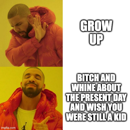 The hard truth | GROW UP; BITCH AND WHINE ABOUT THE PRESENT DAY AND WISH YOU WERE STILL A KID | image tagged in drake blank | made w/ Imgflip meme maker