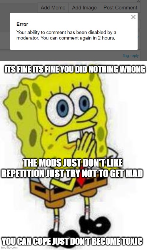 Not cool dude but ok |  ITS FINE ITS FINE YOU DID NOTHING WRONG; THE MODS JUST DON'T LIKE REPETITION JUST TRY NOT TO GET MAD; YOU CAN COPE JUST DON'T BECOME TOXIC | image tagged in spongebob inhale boi | made w/ Imgflip meme maker