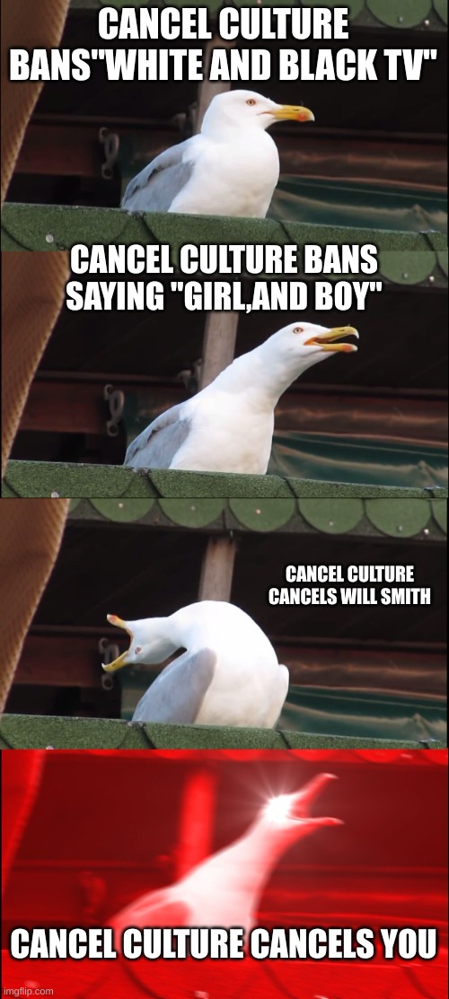 end cancel culture | CANCEL CULTURE BANS"WHITE AND BLACK TV"; CANCEL CULTURE BANS SAYING "GIRL,AND BOY"; CANCEL CULTURE CANCELS WILL SMITH; CANCEL CULTURE CANCELS YOU | image tagged in memes,inhaling seagull | made w/ Imgflip meme maker