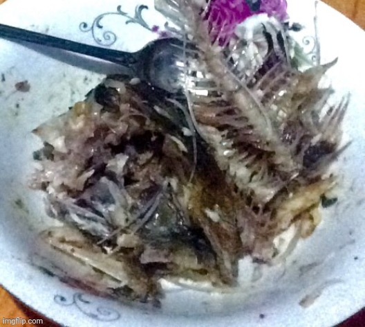 Fish | made w/ Imgflip meme maker