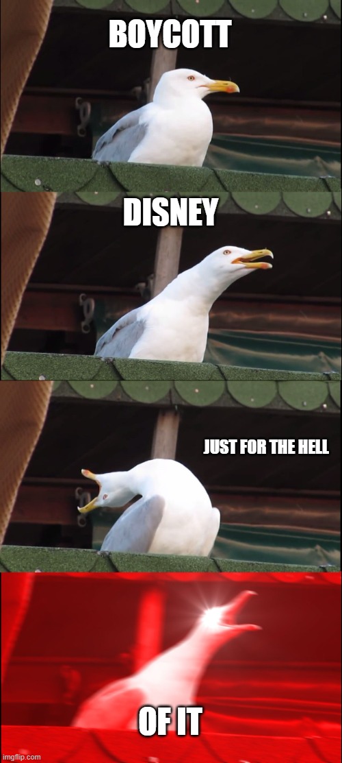 Inhaling Seagull | BOYCOTT; DISNEY; JUST FOR THE HELL; OF IT | image tagged in memes,inhaling seagull | made w/ Imgflip meme maker