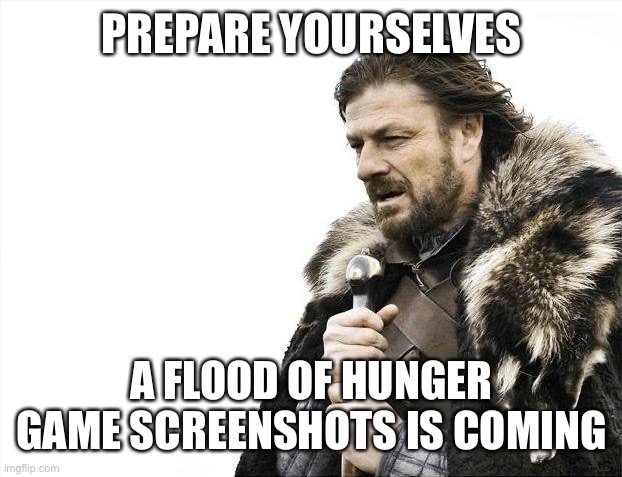 I think there’s a bunch going on simultaneously so yeah | PREPARE YOURSELVES; A FLOOD OF HUNGER GAME SCREENSHOTS IS COMING | image tagged in memes,brace yourselves x is coming | made w/ Imgflip meme maker