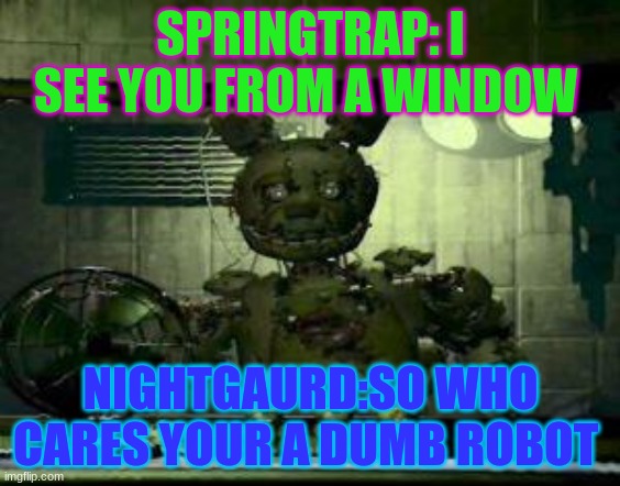 FNAF Springtrap in window | SPRINGTRAP: I SEE YOU FROM A WINDOW; NIGHTGAURD:SO WHO CARES YOUR A DUMB ROBOT | image tagged in fnaf springtrap in window | made w/ Imgflip meme maker