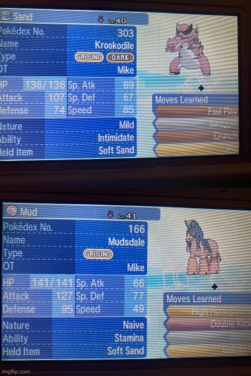 Who gets to stay in the party? (Ultra Sun, I have a Zoroark which could be switched too) | made w/ Imgflip meme maker