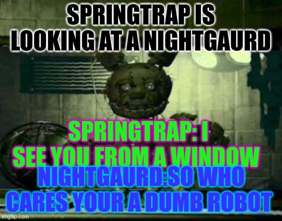springtrap | SPRINGTRAP IS LOOKING AT A NIGHTGAURD; SPRINGTRAP: I SEE YOU FROM A WINDOW; NIGHTGAURD:SO WHO CARES YOUR A DUMB ROBOT | image tagged in fnaf springtrap in window | made w/ Imgflip meme maker