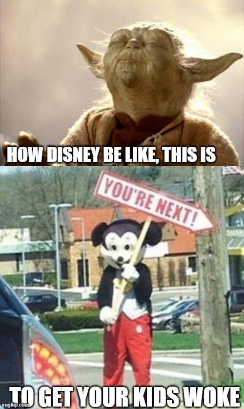 HOW DISNEY BE LIKE, THIS IS TO GET YOUR KIDS WOKE | image tagged in yoda smell,you're next | made w/ Imgflip meme maker