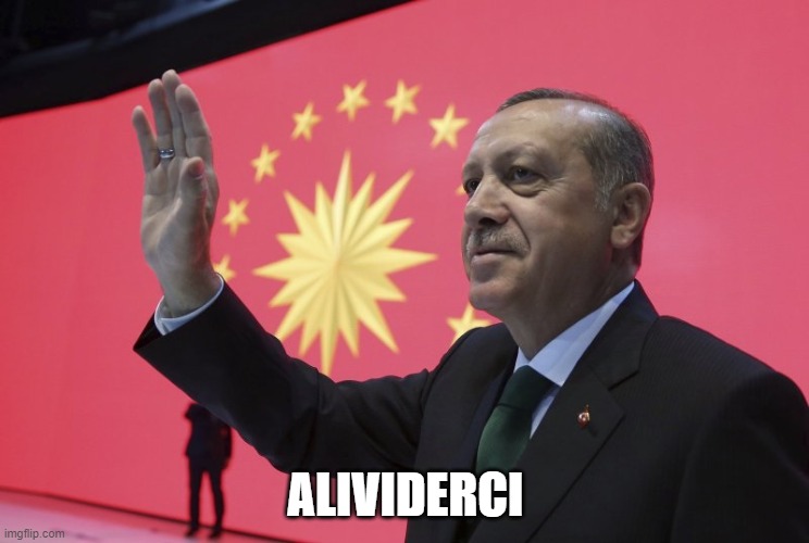 ALIVIDERCI | ALIVIDERCI | image tagged in turkey,bad pun | made w/ Imgflip meme maker