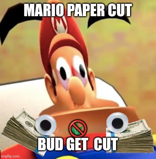 What mario | MARIO PAPER CUT ?
BUD GET  CUT | image tagged in what mario | made w/ Imgflip meme maker