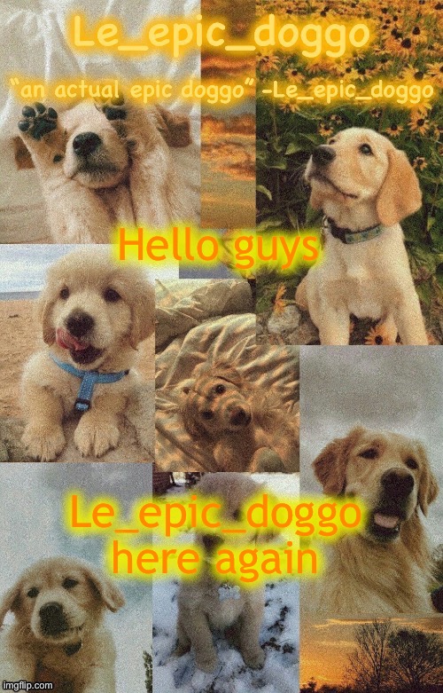 Doggo temp by doggo. Wait what that’s confusing | Hello guys; Le_epic_doggo here again | image tagged in doggo temp by doggo wait what that s confusing | made w/ Imgflip meme maker