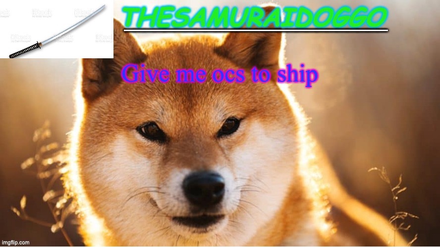 TheSamuraiDoggo's Temp (Thanks friend!) | Give me ocs to ship | image tagged in thesamuraidoggo's temp thanks friend | made w/ Imgflip meme maker
