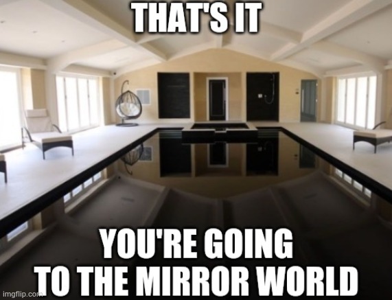 You're going to the mirror world | image tagged in you're going to the mirror world | made w/ Imgflip meme maker