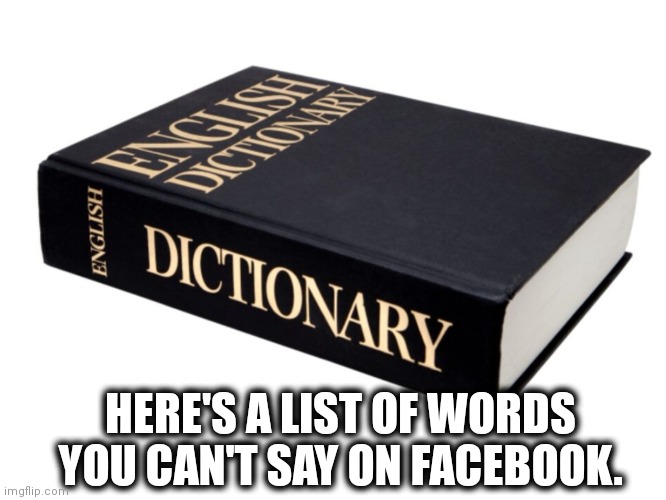 Dictionary | HERE'S A LIST OF WORDS YOU CAN'T SAY ON FACEBOOK. | image tagged in dictionary | made w/ Imgflip meme maker