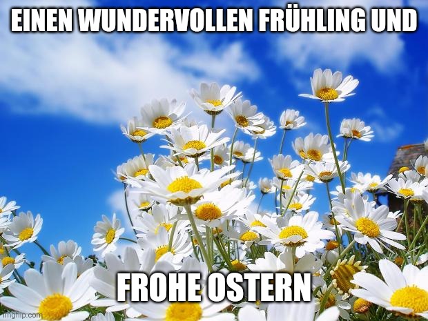 Easter greetings | EINEN WUNDERVOLLEN FRÜHLING UND; FROHE OSTERN | image tagged in spring daisy flowers | made w/ Imgflip meme maker