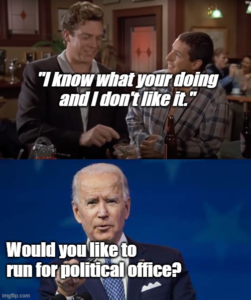 "Would" grunge | "I know what your doing
and I don't like it."; Would you like to run for political office? | image tagged in politics,biden,happy gilmore,adam sandler | made w/ Imgflip meme maker