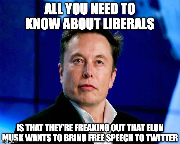 Musk on the run |  ALL YOU NEED TO KNOW ABOUT LIBERALS; IS THAT THEY'RE FREAKING OUT THAT ELON MUSK WANTS TO BRING FREE SPEECH TO TWITTER | image tagged in elon musk | made w/ Imgflip meme maker
