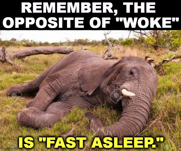 Little Lord GOP, Asleep at the Switch | REMEMBER, THE 
OPPOSITE OF "WOKE"; IS "FAST ASLEEP." | image tagged in republican party,asleep | made w/ Imgflip meme maker