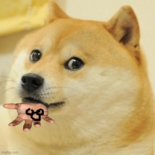 Doge Meme | image tagged in memes,doge | made w/ Imgflip meme maker