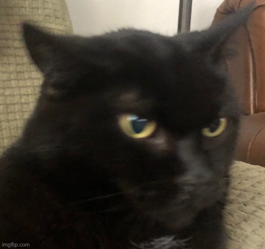 (He’s the dead one) | made w/ Imgflip meme maker