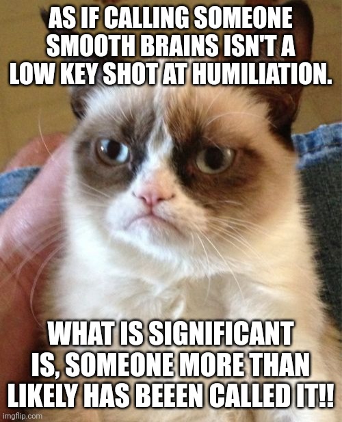 I wonder where the idea came from?  Have Fun! | AS IF CALLING SOMEONE SMOOTH BRAINS ISN'T A LOW KEY SHOT AT HUMILIATION. WHAT IS SIGNIFICANT IS, SOMEONE MORE THAN LIKELY HAS BEEEN CALLED IT!! | image tagged in memes,grumpy cat | made w/ Imgflip meme maker