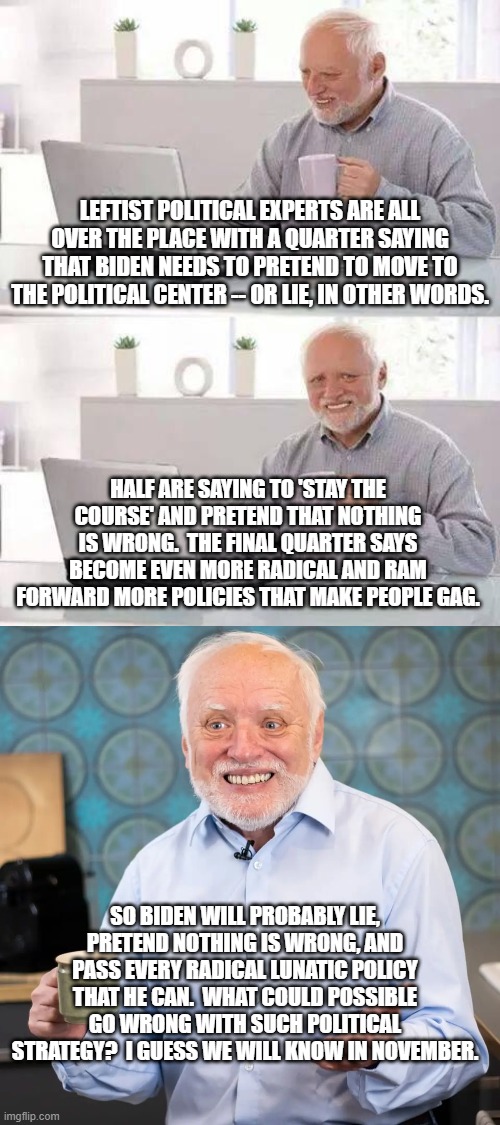 Seriously . . . this is how the expert's advice for Biden is breaking down among leftists. | LEFTIST POLITICAL EXPERTS ARE ALL OVER THE PLACE WITH A QUARTER SAYING THAT BIDEN NEEDS TO PRETEND TO MOVE TO THE POLITICAL CENTER -- OR LIE, IN OTHER WORDS. HALF ARE SAYING TO 'STAY THE COURSE' AND PRETEND THAT NOTHING IS WRONG.  THE FINAL QUARTER SAYS BECOME EVEN MORE RADICAL AND RAM FORWARD MORE POLICIES THAT MAKE PEOPLE GAG. SO BIDEN WILL PROBABLY LIE, PRETEND NOTHING IS WRONG, AND PASS EVERY RADICAL LUNATIC POLICY THAT HE CAN.  WHAT COULD POSSIBLE GO WRONG WITH SUCH POLITICAL STRATEGY?  I GUESS WE WILL KNOW IN NOVEMBER. | image tagged in hide the pain harold | made w/ Imgflip meme maker