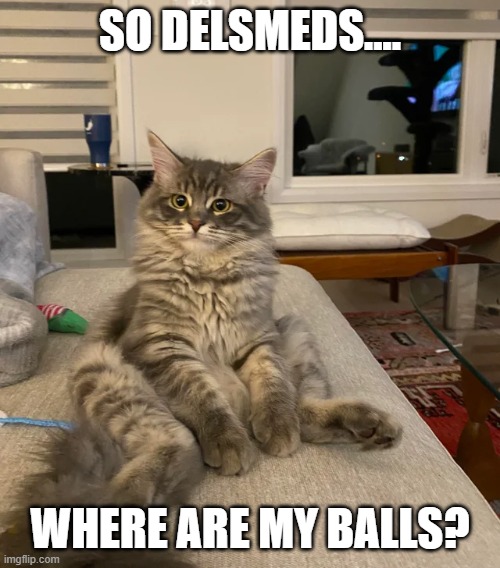 SO DELSMEDS.... WHERE ARE MY BALLS? | made w/ Imgflip meme maker