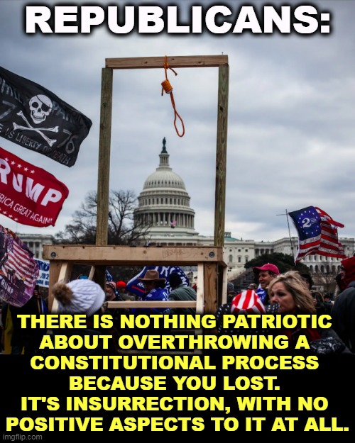 Putting 120+ cops in the hospital is not patriotism. | REPUBLICANS:; THERE IS NOTHING PATRIOTIC 
ABOUT OVERTHROWING A 
CONSTITUTIONAL PROCESS 
BECAUSE YOU LOST. 
IT'S INSURRECTION, WITH NO 
POSITIVE ASPECTS TO IT AT ALL. | image tagged in capitol riot gallows noose pence,republicans,revolution,democrats,democracy | made w/ Imgflip meme maker