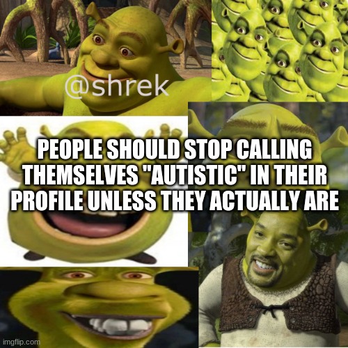 shrek announcement temp | PEOPLE SHOULD STOP CALLING THEMSELVES "AUTISTIC" IN THEIR PROFILE UNLESS THEY ACTUALLY ARE | image tagged in shrek announcement temp | made w/ Imgflip meme maker