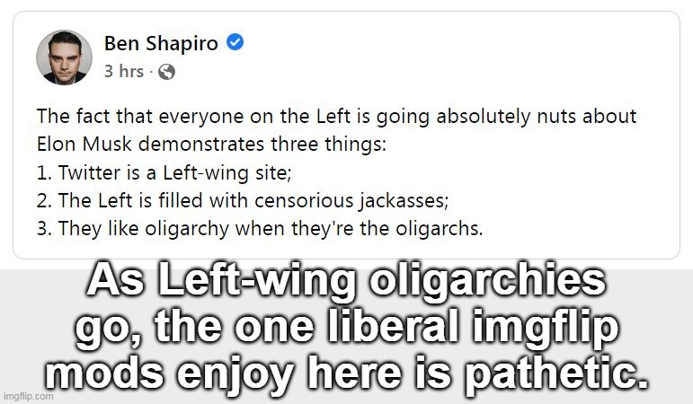 Pathetic? Perhaps, but dangerous to Free Speech nonetheless . . . | As Left-wing oligarchies go, the one liberal imgflip mods enjoy here is pathetic. | image tagged in tyranny,petty,free speech,triggered liberal | made w/ Imgflip meme maker