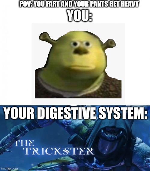 I hope this is relatable | POV: YOU FART AND YOUR PANTS GET HEAVY; YOU:; YOUR DIGESTIVE SYSTEM: | image tagged in memes | made w/ Imgflip meme maker